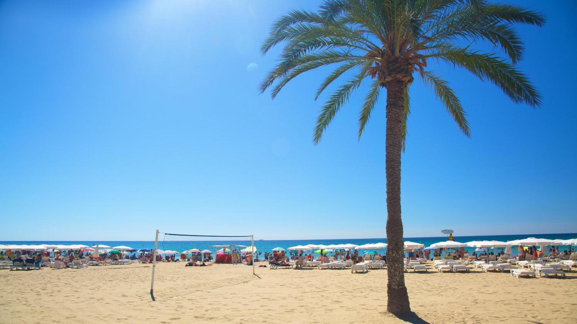 Hb Apartments - Mercado Central - Rambla Alicante - La Suite De La Playa Eksteriør billede